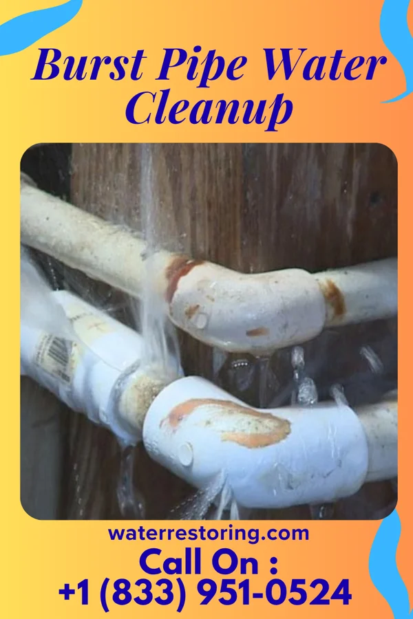 Burst Pipe Water Cleanup in Siler City, NC