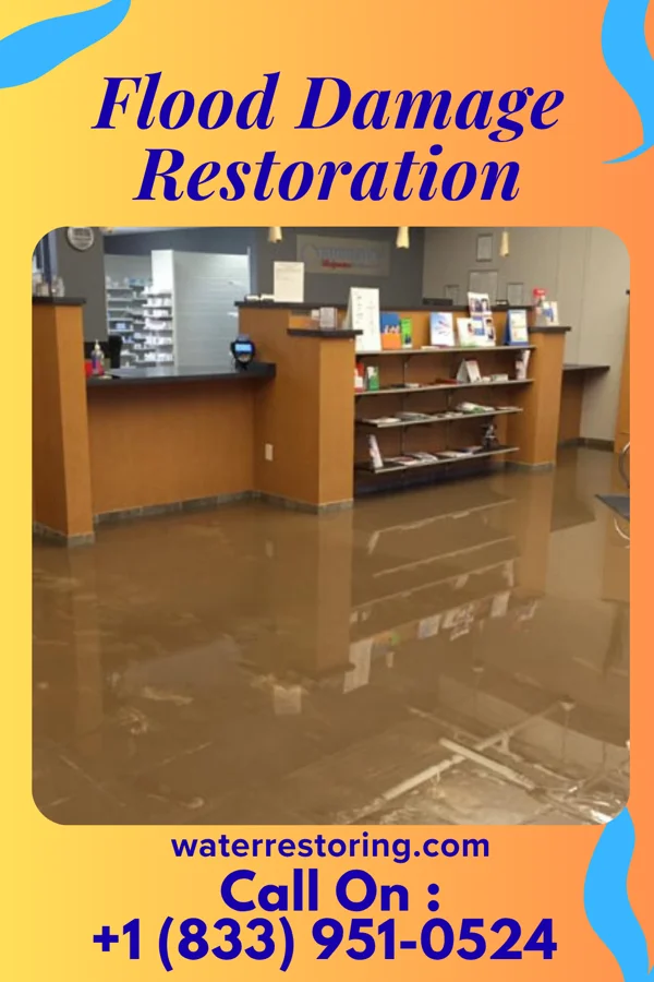 Flood Damage Restoration in Siler City, NC