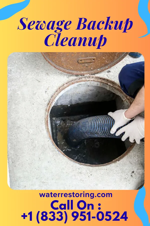 Sewage Backup Cleanup in Siler City, NC