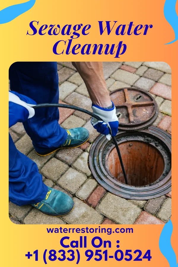 Sewage Water Cleanup in Siler City, NC