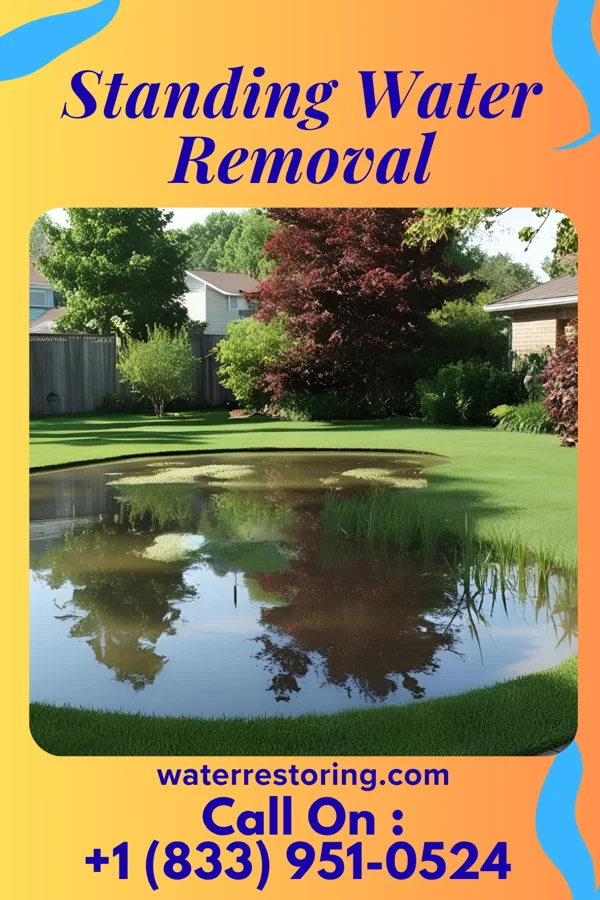 Standing Water Removal in Siler City, NC
